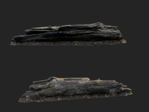 3d scanned nature forest stuff 009 Modelo 3D