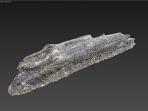 3d scanned nature forest stuff 009 Modelo 3D