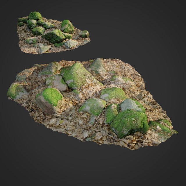3d scanned nature stone 015 3D-Modell .c4d .max .obj .3ds .fbx .stl .blend 