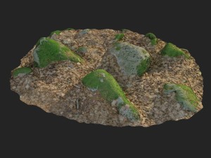 3d scanned nature stone 016 Modello 3D