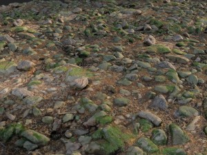 3d scanned nature stone 017 Modello 3D