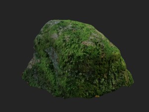 3d scanned nature stone 020 3D Model