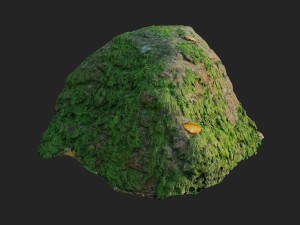 3d scanned nature stone 020 3D Model