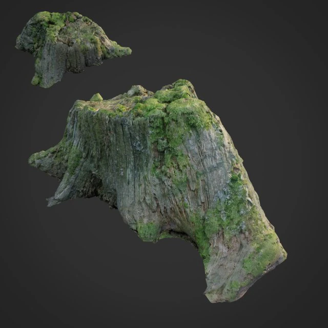 3d scanned nature tree stump 008 3D Model .c4d .max .obj .3ds .fbx .stl .blend 