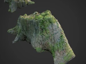 Toco de &aacute;rvore natural escaneado em 3D 008 Modelo 3D