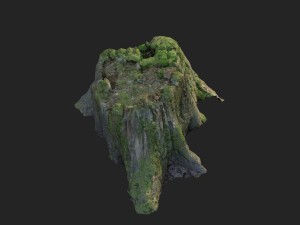 3d scanned nature tree stump 008 Modello 3D