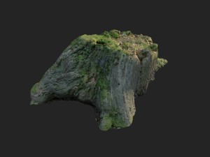 3d scanned nature tree stump 008 Modello 3D