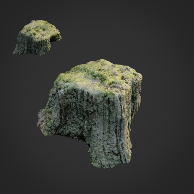 3d scanned nature tree stump 009 3D Модель .c4d .max .obj .3ds .fbx .stl .blend 