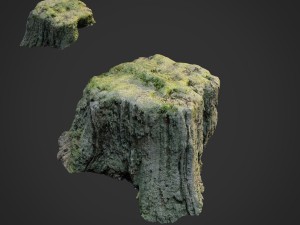 3d scanned nature tree stump 009 3D Model