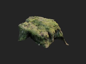 3d scanned nature tree stump 009 3D Модель