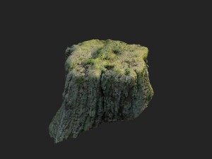 3d scanned nature tree stump 009 3D Модель