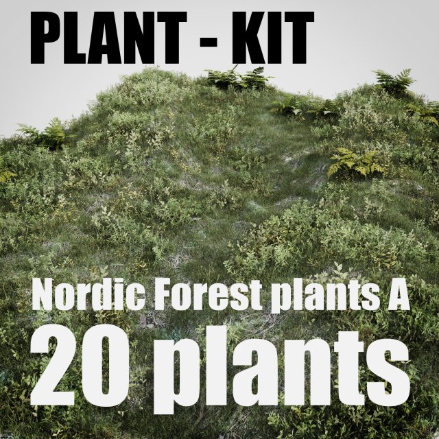 nordic forest plants a collection 3D 모델 .c4d .max .obj .3ds .fbx .stl .blend 