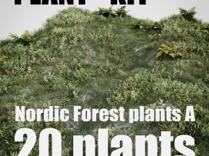 nordic forest plants a collection 3D Model