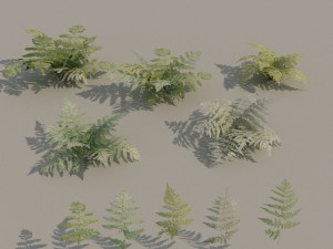 nordic forest plants a collection 3D 모델