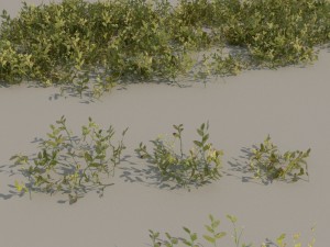 nordic forest plants a collection 3D 모델
