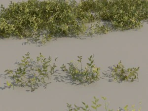 nordic forest plants a collection 3D Model