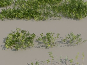 nordic forest plants a collection 3D 모델