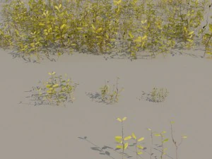 nordic forest plants a collection 3D Model
