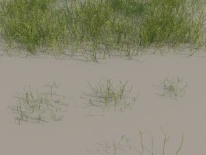 nordic forest plants a collection 3D Model