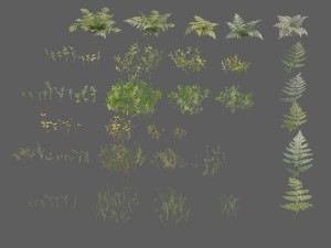 nordic forest plants a collection 3D 모델