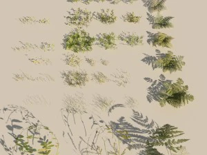 nordic forest plants a collection 3D Model