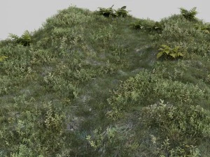 nordic forest plants a collection 3D Model