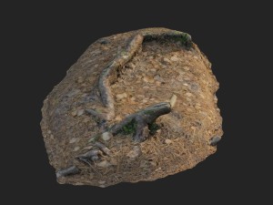 3d scanned nature forest stuff 010 3D Model