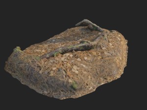 3d scanned nature forest stuff 010 3D Model