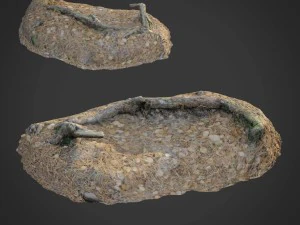 3D-gescanntes Naturwaldmaterial 010 3D Modell