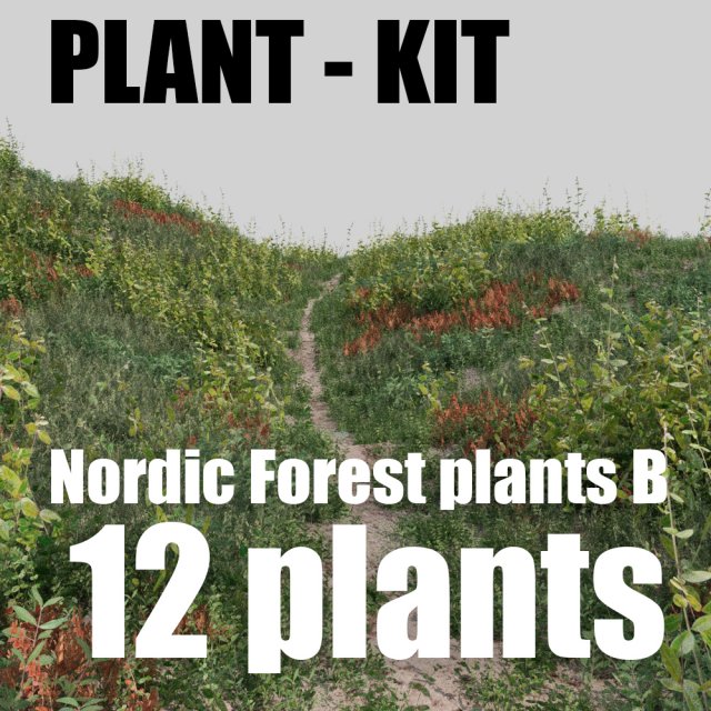 nordic forest plants b collection Modelo 3D .c4d .max .obj .3ds .fbx .stl .blend 
