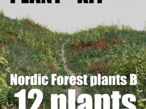 nordic forest plants b collection 3D Model