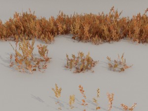 nordic forest plants b collection Modelo 3D