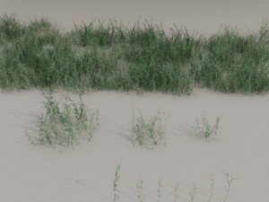 nordic forest plants b collection Modelo 3D