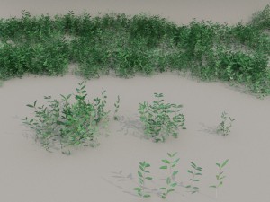 nordic forest plants b collection Modelo 3D