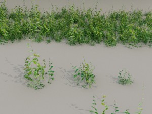 nordic forest plants b collection Modelo 3D