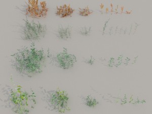 nordic forest plants b collection Modelo 3D
