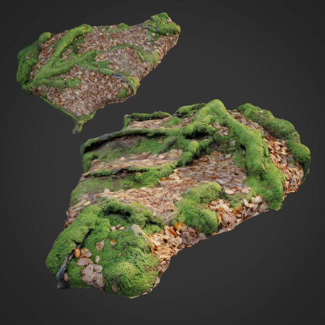 3d scanned nature forest stuff 011 Model 3D .c4d .max .obj .3ds .fbx .stl .blend 