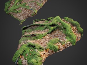 3d scanned nature forest stuff 011 Model 3D