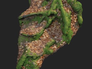 3d scanned nature forest stuff 011 Model 3D
