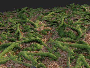 3d scanned nature forest stuff 011 Model 3D