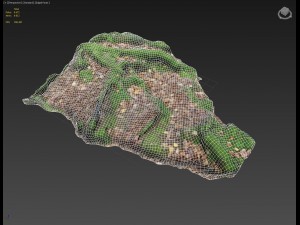 3d scanned nature forest stuff 011 Model 3D
