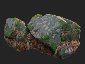 3d scanned nature stone 033 3Dモデル