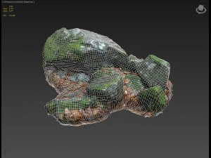 3d scanned nature stone 033 3D Model
