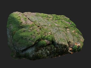 3d scanned nature stone 038 Model 3D