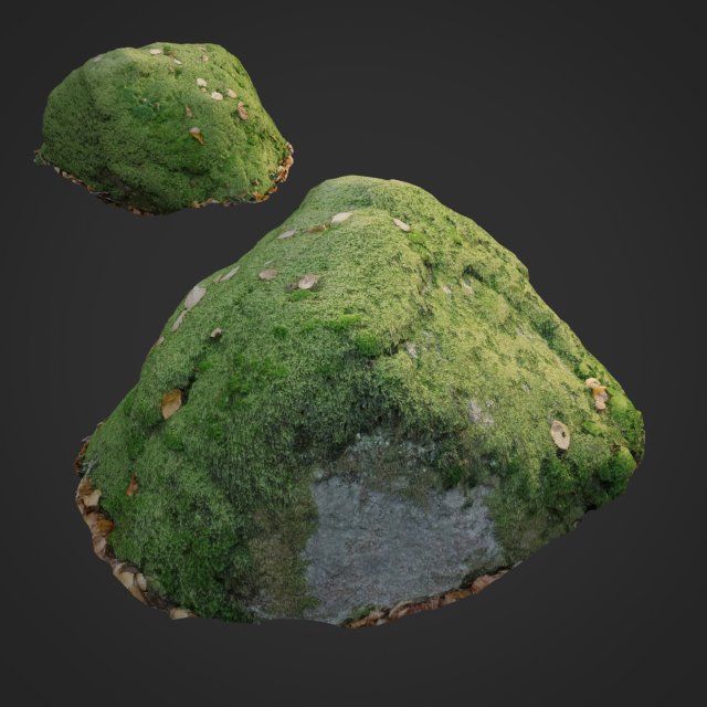 3d scanned nature stone 039 3Dモデル .c4d .max .obj .3ds .fbx .stl .blend 