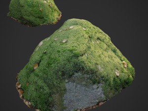 3d scanned nature stone 039 3Dモデル