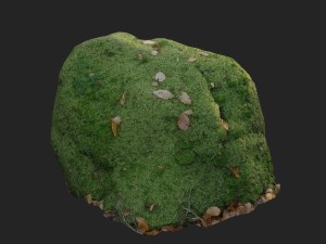 3d scanned nature stone 039 3Dモデル