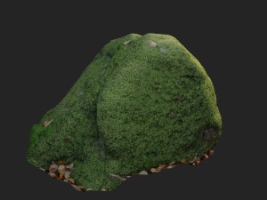 3d scanned nature stone 039 3Dモデル
