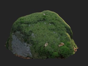 3d scanned nature stone 039 3Dモデル