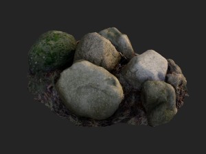 3d scanned nature stone 40 3Dモデル